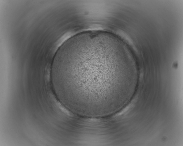 X0000092031409200709201602