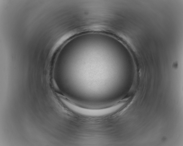 X0000092031410200709201602