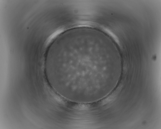 X0000092031411200709201602