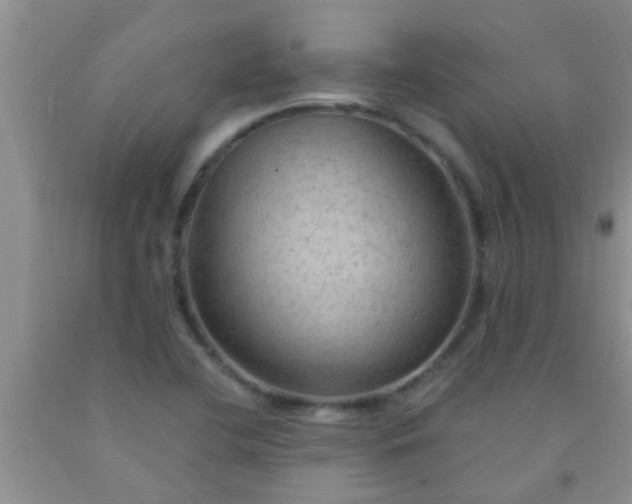 X0000092031412200709201602