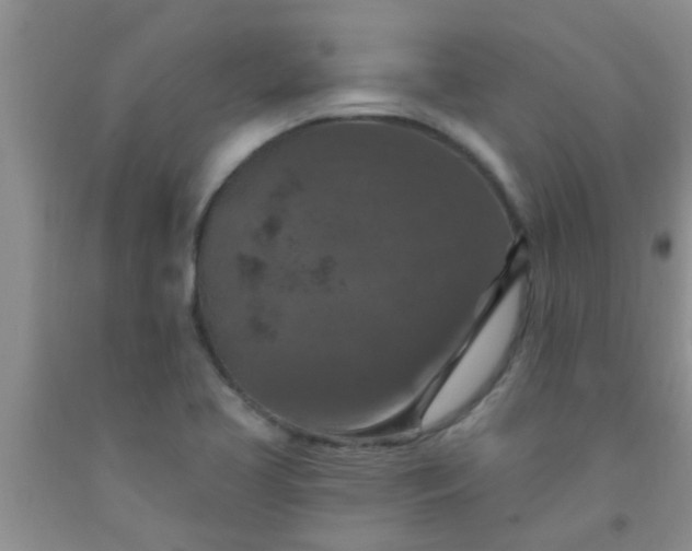 X0000092031413200709201602