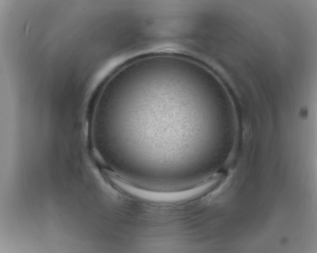 X0000092031414200709201602