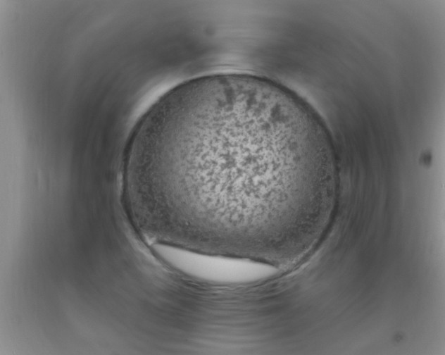 X0000092031415200709201602