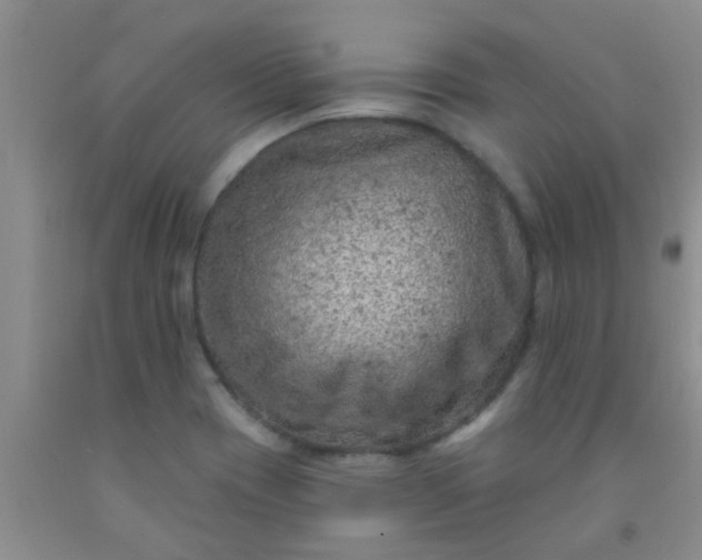 X0000092031417200709201602