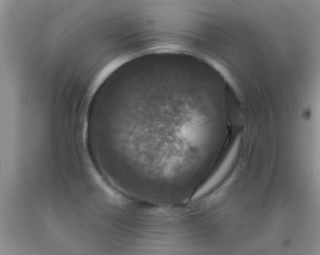 X0000092031418200709201602