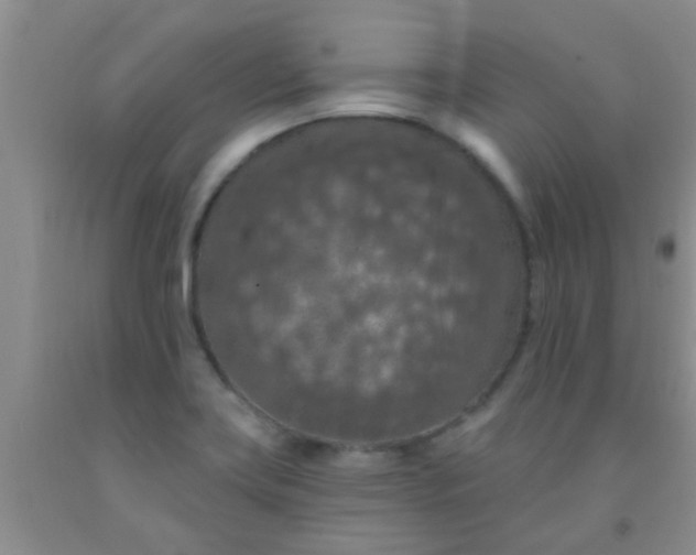 X0000092031419200709201602