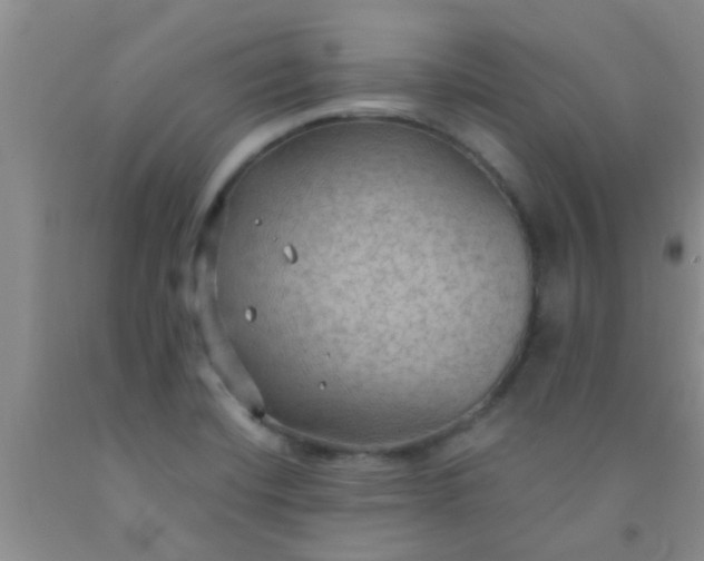 X0000092031420200709201602