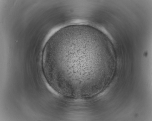 X0000092031421200709201603