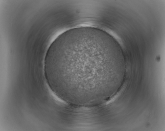 X0000092031423200709201603