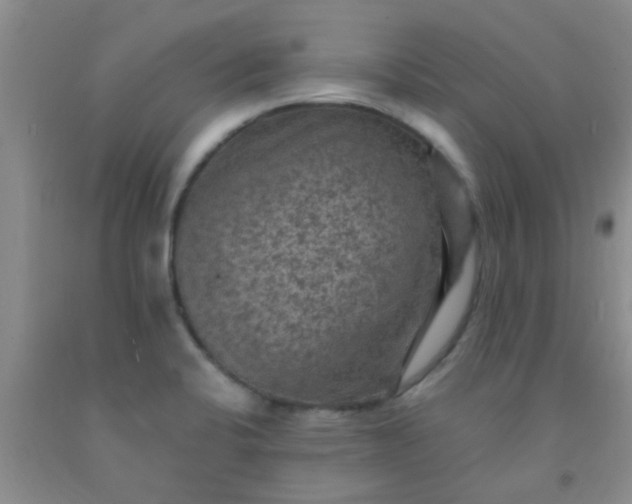 X0000092031424200709201603