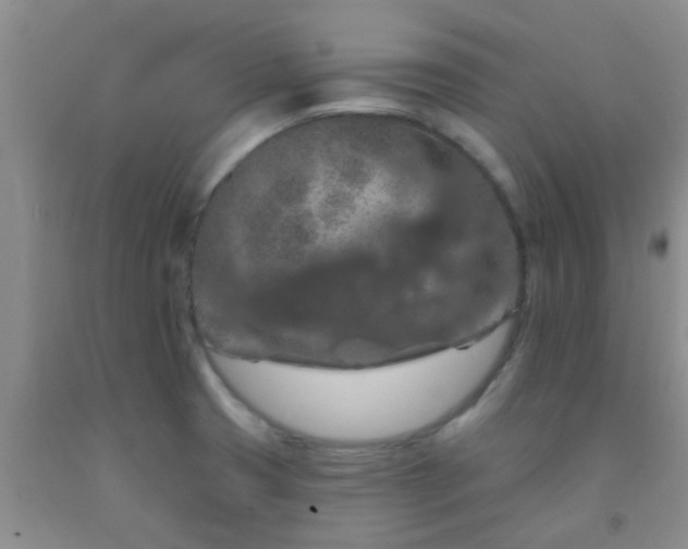 X0000092031425200709201603