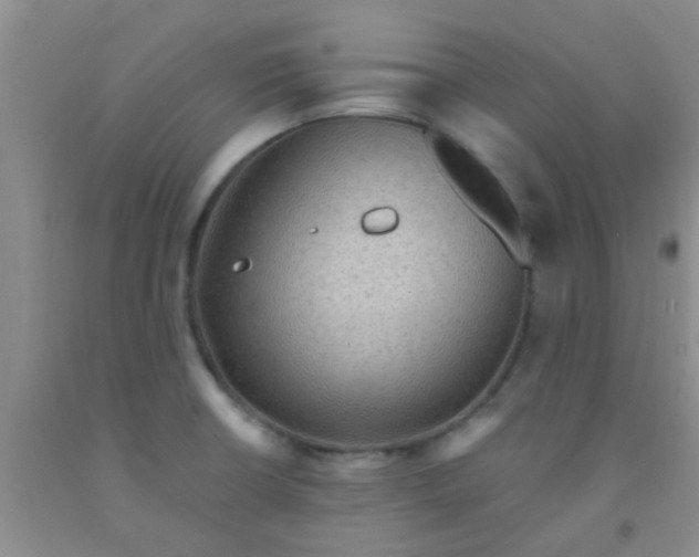 X0000092031426200709201603