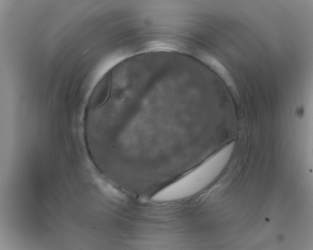 X0000092031427200709201603