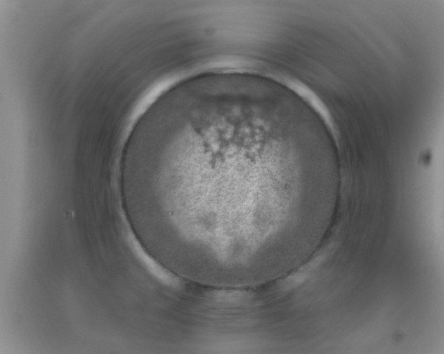 X0000092031429200709201603