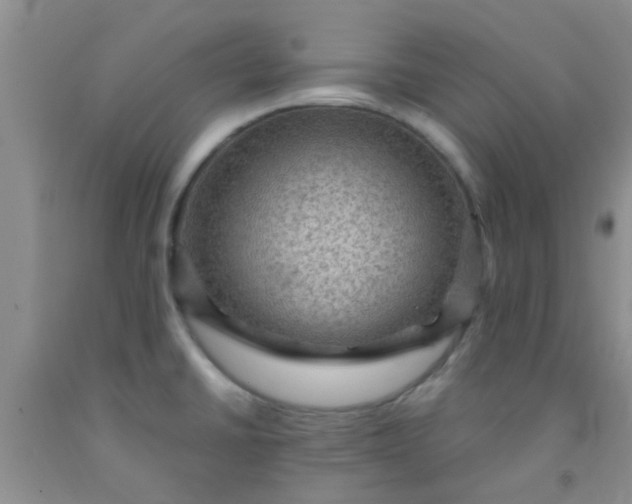 X0000092031430200709201603