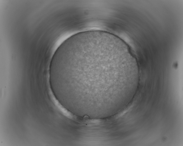 X0000092031431200709201603