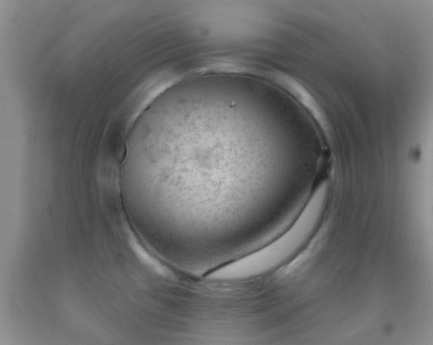 X0000092031433200709201603