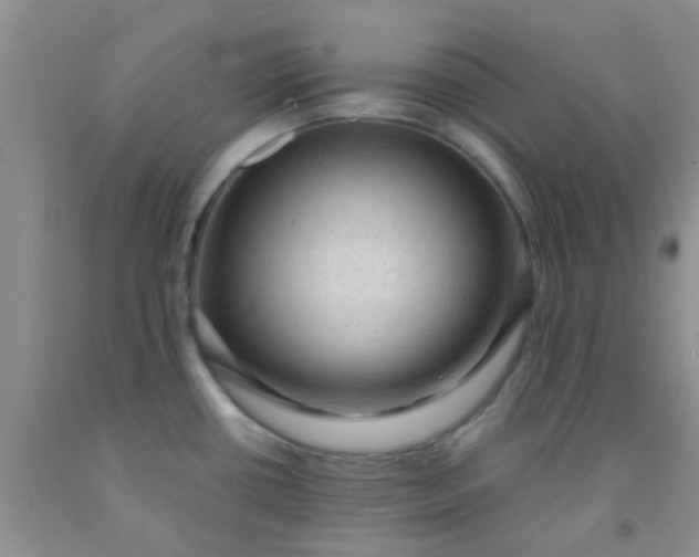 X0000092031434200709201603