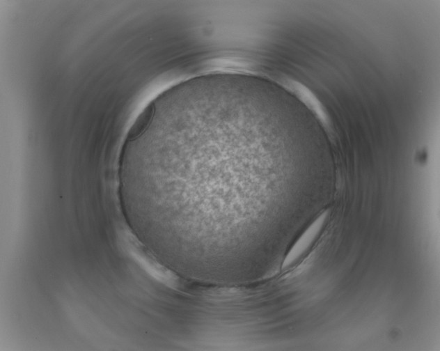 X0000092031435200709201603