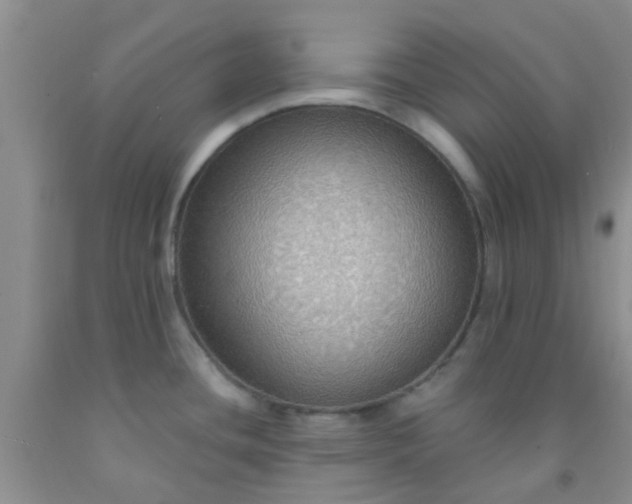 X0000092031436200709201603