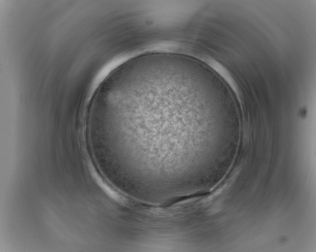 X0000092031437200709201603