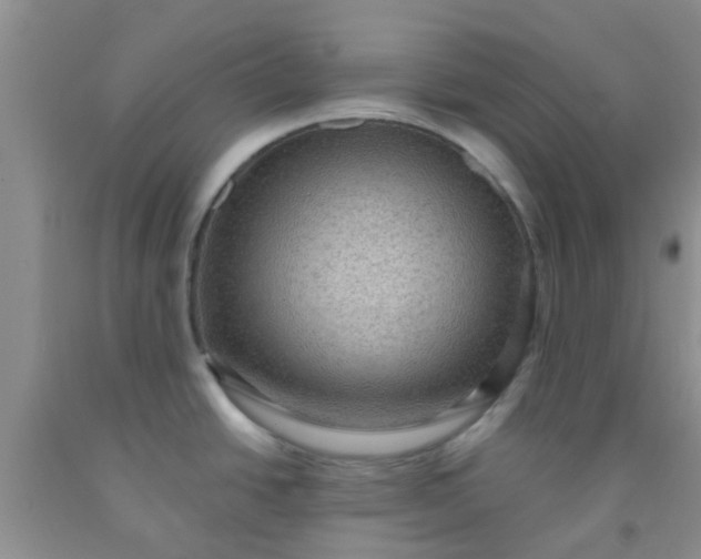 X0000092031438200709201603