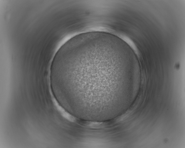 X0000092031439200709201603