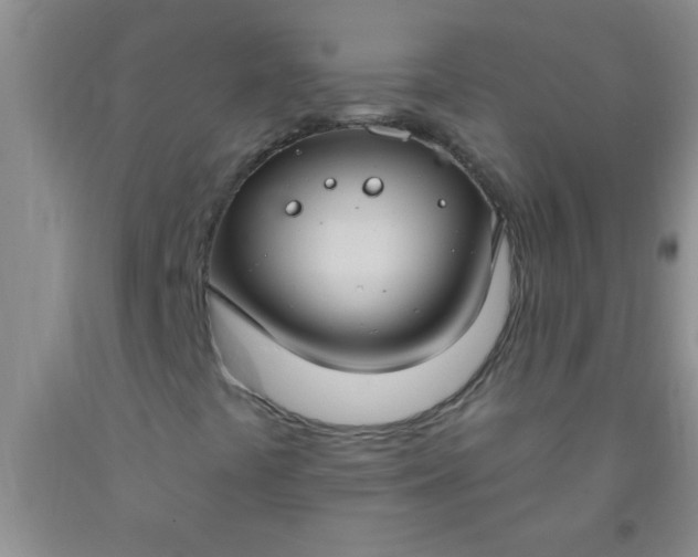 X0000092031441200709201602