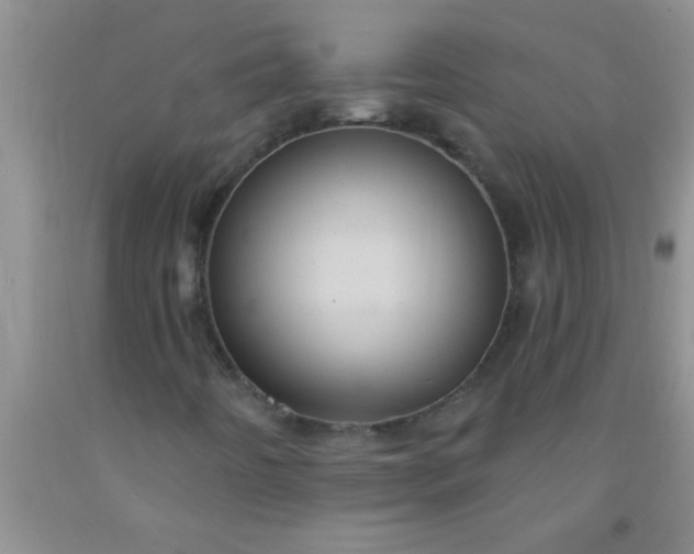 X0000092031442200709201602