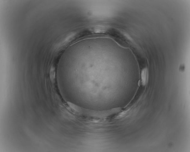 X0000092031443200709201602