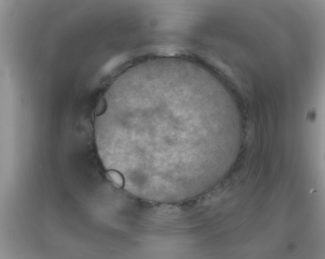 X0000092031446200709201602