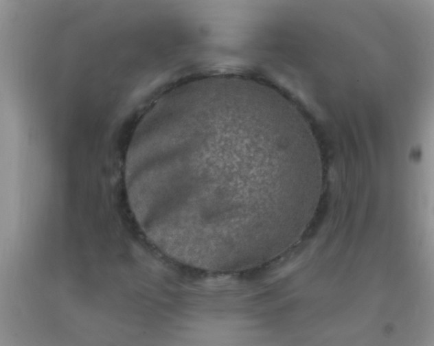 X0000092031447200709201602