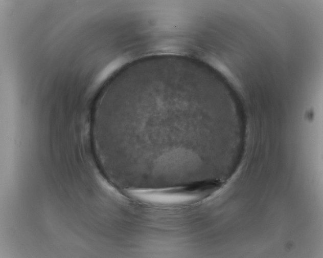 X0000092031450200709201602