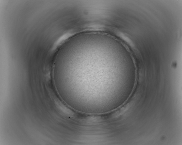 X0000092031451200709201602