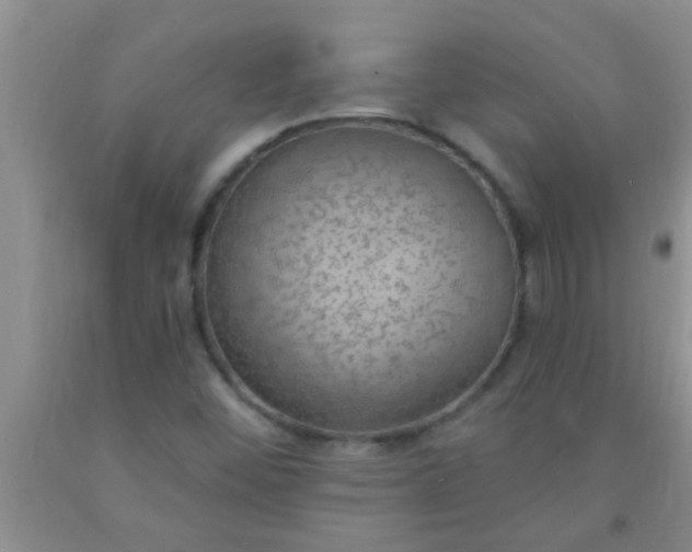 X0000092031452200709201602