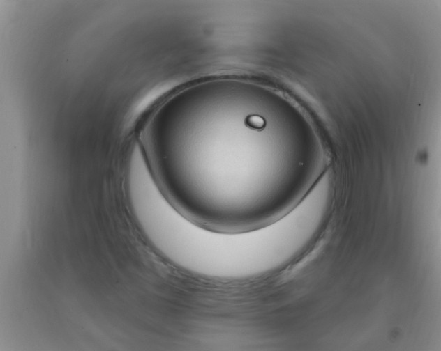 X0000092031453200709201602