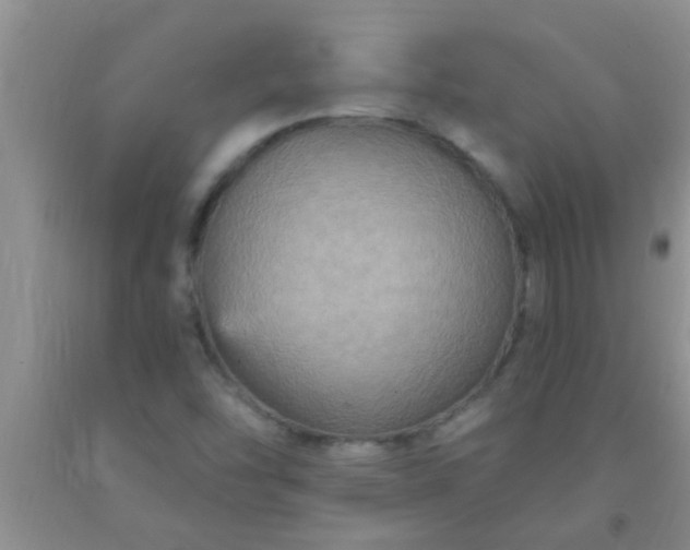 X0000092031454200709201602