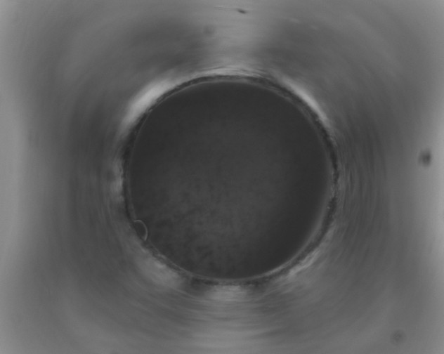 X0000092031455200709201602