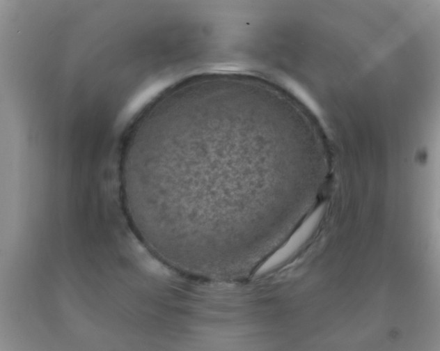 X0000092031456200709201602