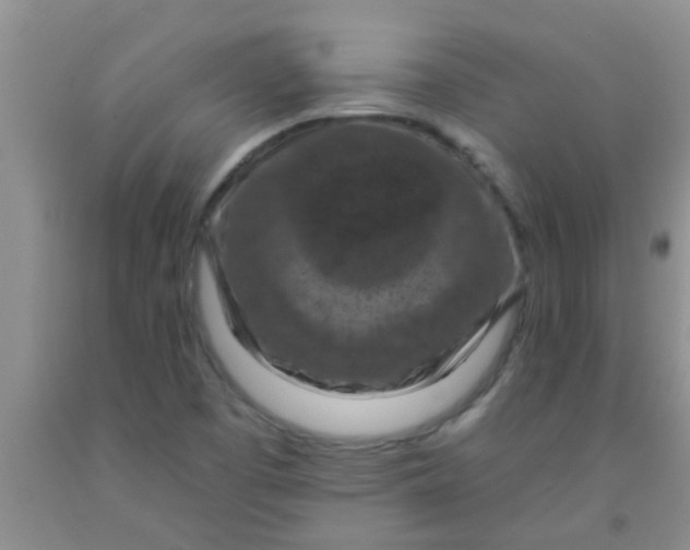 X0000092031457200709201602