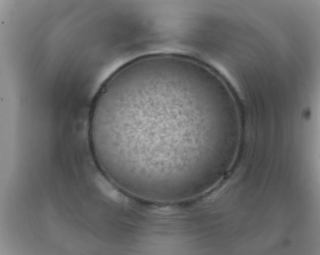 X0000092031460200709201602