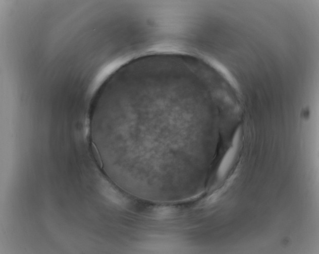 X0000092031461200709201602