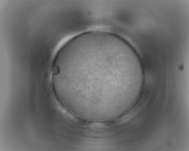 X0000092031462200709201602