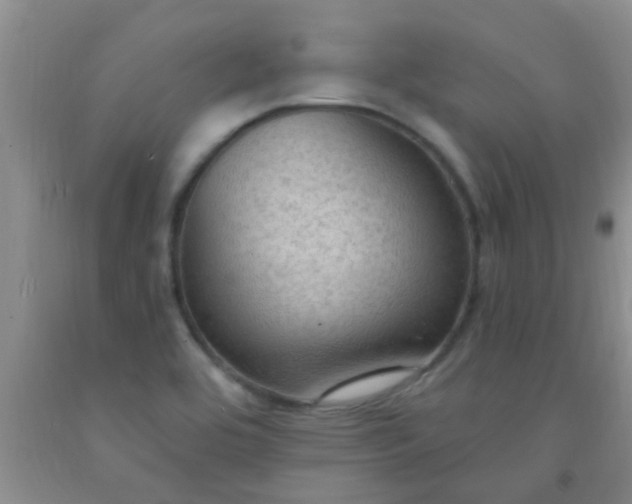 X0000092031464200709201602