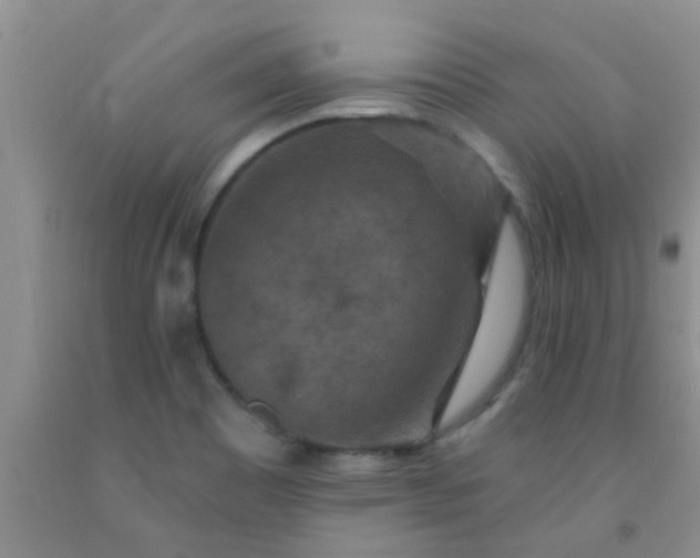 X0000092031465200709201602