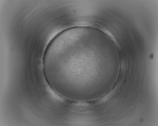 X0000092031466200709201602