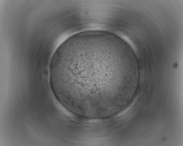 X0000092031467200709201602