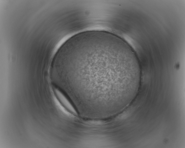 X0000092031468200709201602