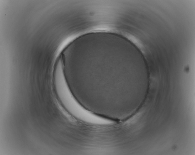 X0000092031469200709201602