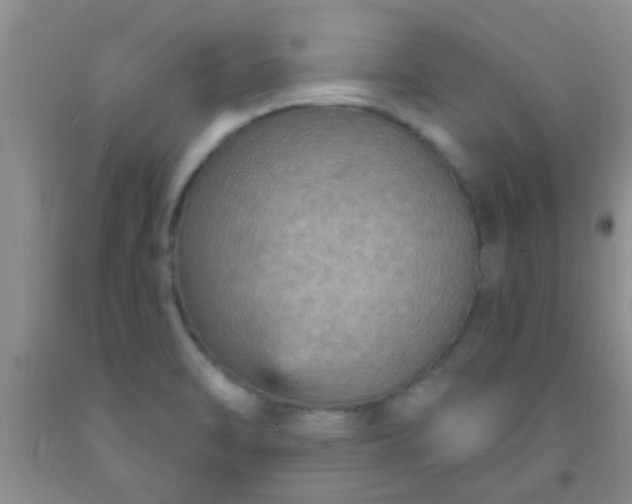 X0000092031470200709201602